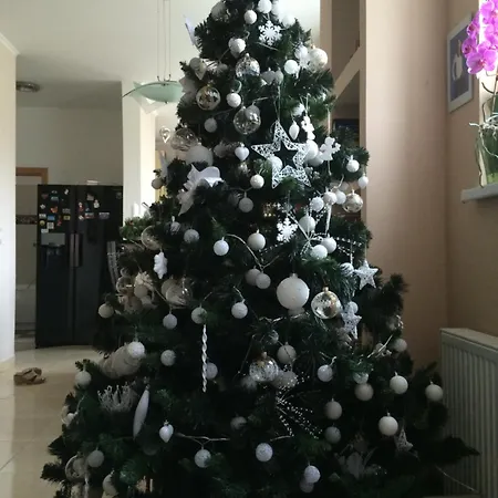 بيت ضيافة Fortuna